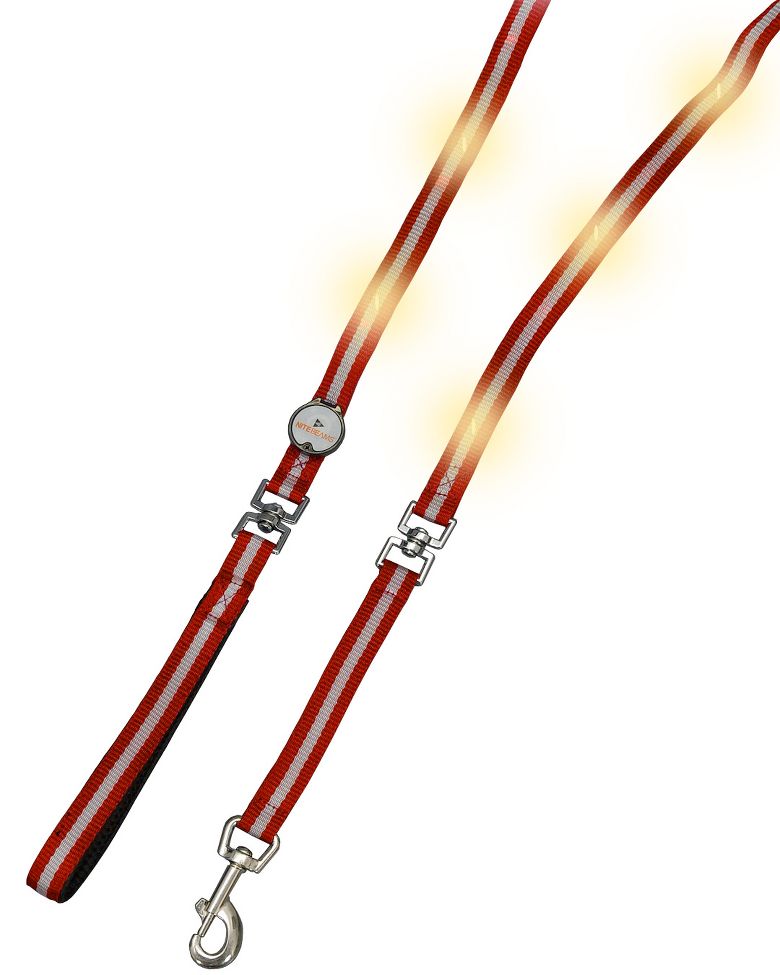 Nite Beams LED Pet Leash Safety