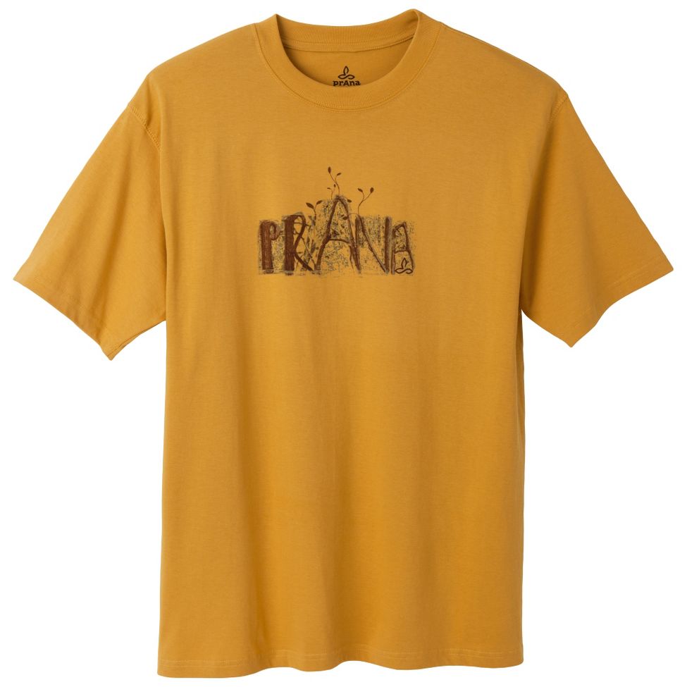 Mens Prana Dri Balance Blank Short Sleeve Technical Tops