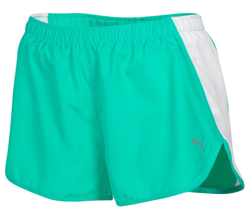 Mens Puma Sprint Lined Shorts