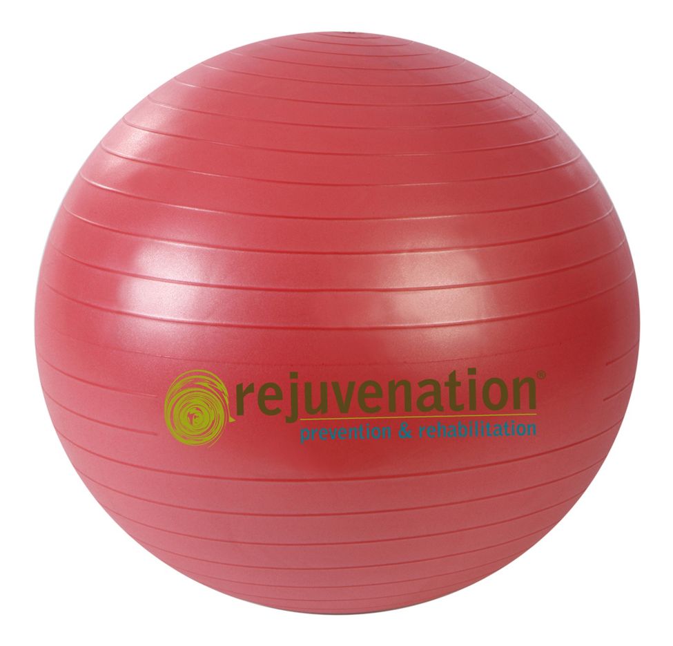 Rejuvenation Complete Support & Stability Balls Fitness Equipment