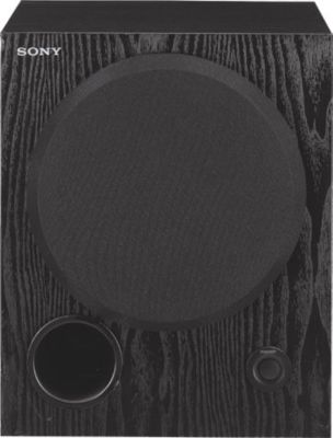 100 Watt Active Subwoofer