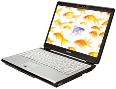 Toshiba U305 S7467 13.3 1.66GHZ 200GB Laptop