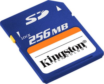 256 MB Secure Digital (SD) Memory Card