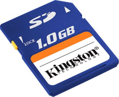1 GB Secure Digital (SD) Memory Card