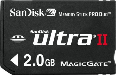 SanDisk SDMSPDH-2048