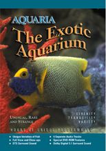 DVD International THE EXOTIC AQUARIUM 0774