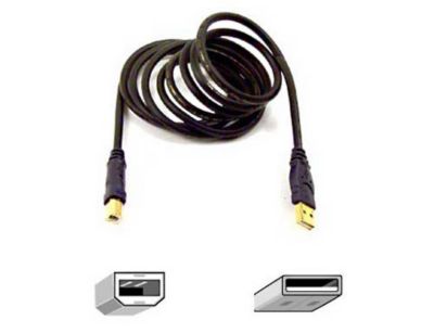 Gold Series Hi-Speed USB 2.0 Cable, 6 ft.