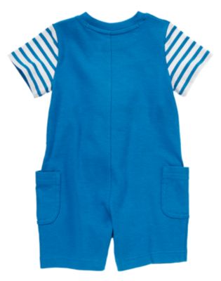 Hippo Colorblock One-Piece