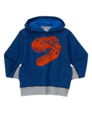 Boys Sweaters, Boys Hoodies and Outerwear at Gymboree