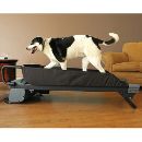 The Canine Treadmill 