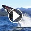 Play video for The Killer Whale Submarine