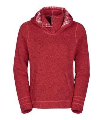 The North Face Women's Crescent Sunset Hoodie - at Moosejaw.com