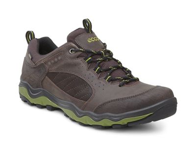 Ecco Men's Ulterra Lo GTX Shoe