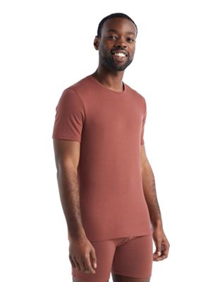 Icebreaker Men's Anatomica SS Crewe Top - XL - Grape product image