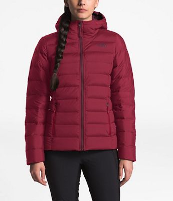 the north face women's cryos 3l big e mac gtx jacket