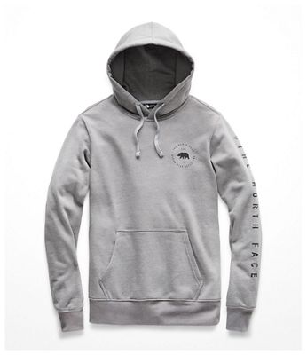 UPC 192362100136 product image for The North Face Men's Bearscape Pullover Hoodie - Medium - TNF Medium Grey Heathe | upcitemdb.com