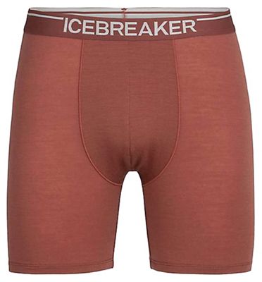 Icebreaker Men's Anatomica Long Boxers - Small - Grape product image