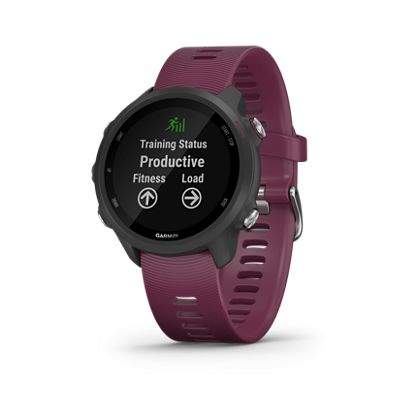 5553788 Garmin Forerunner 245 sku 5553788