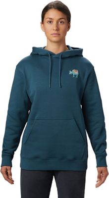 Mountain Hardwear Women's Hotel Basecamp Pullover Hoody - XS - Icelandic product image