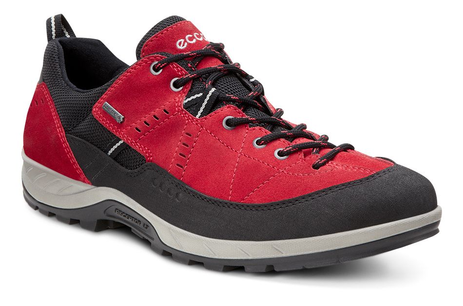 Mens Ecco Yura GTX Hiking Shoe at Road 