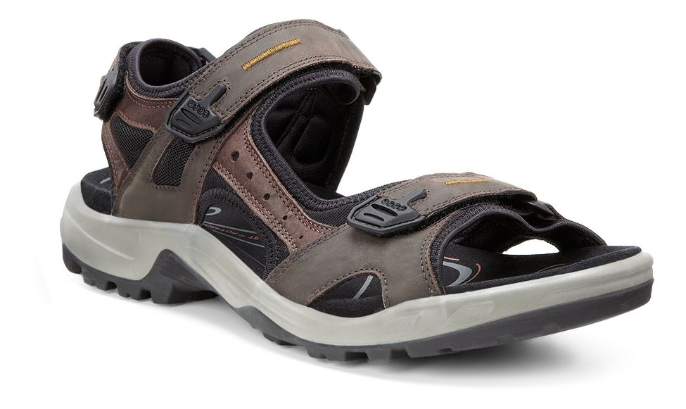 Mens Ecco Yucatan Sandals Shoe at Road 