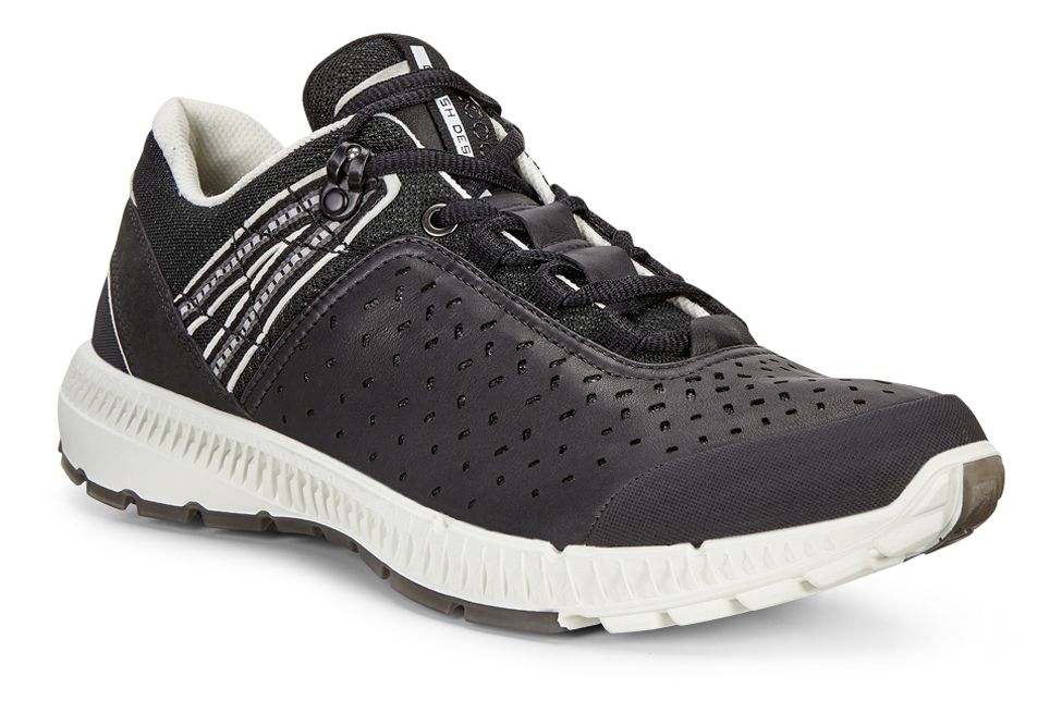 ecco mens intrinsic tr run