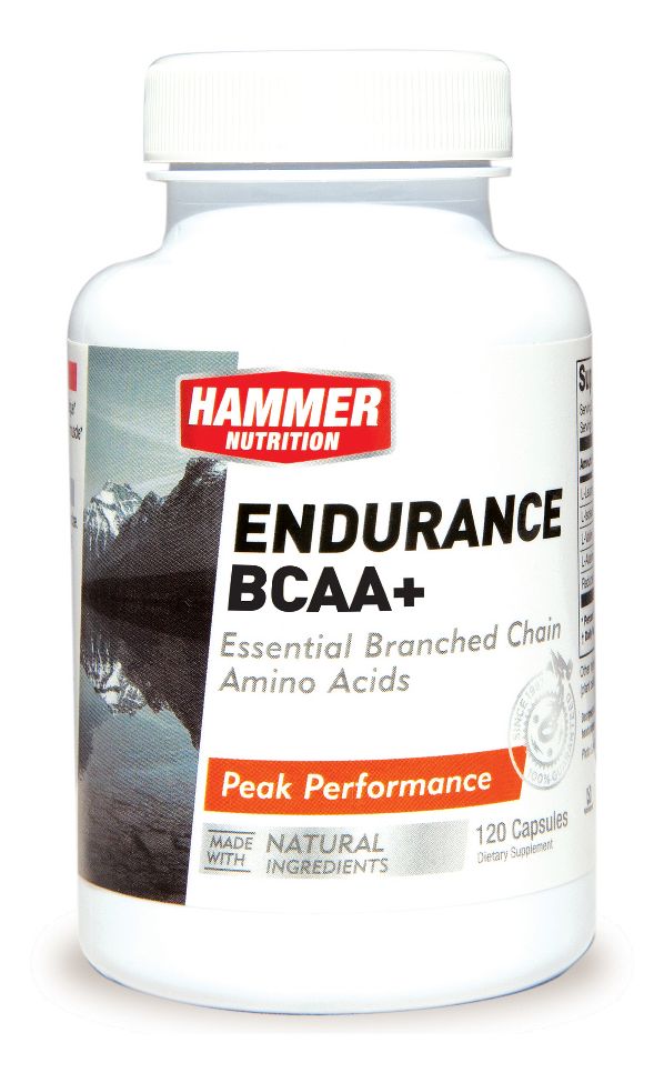 Image of Hammer Nutrition Endurance BCAA+ 240 Capsules