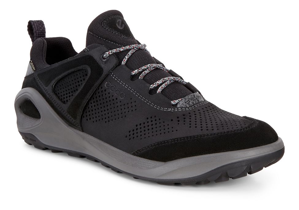 Image of Ecco BIOM 2GO Gore-Tex Walking Shoe