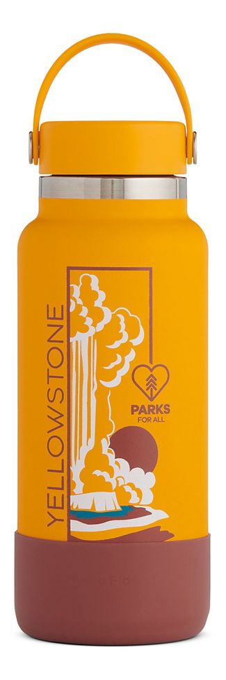 Hydro flask national parks wide 2025 mouth bottle