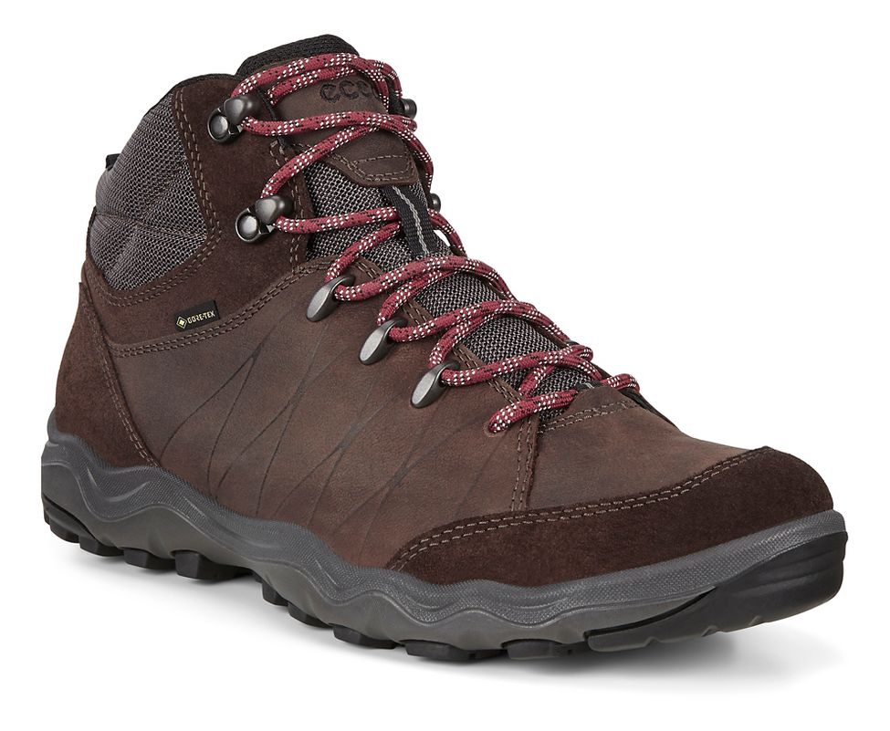 Men's Ecco Ulterra Gore Tex Hiking Boot Reviews WeeViews