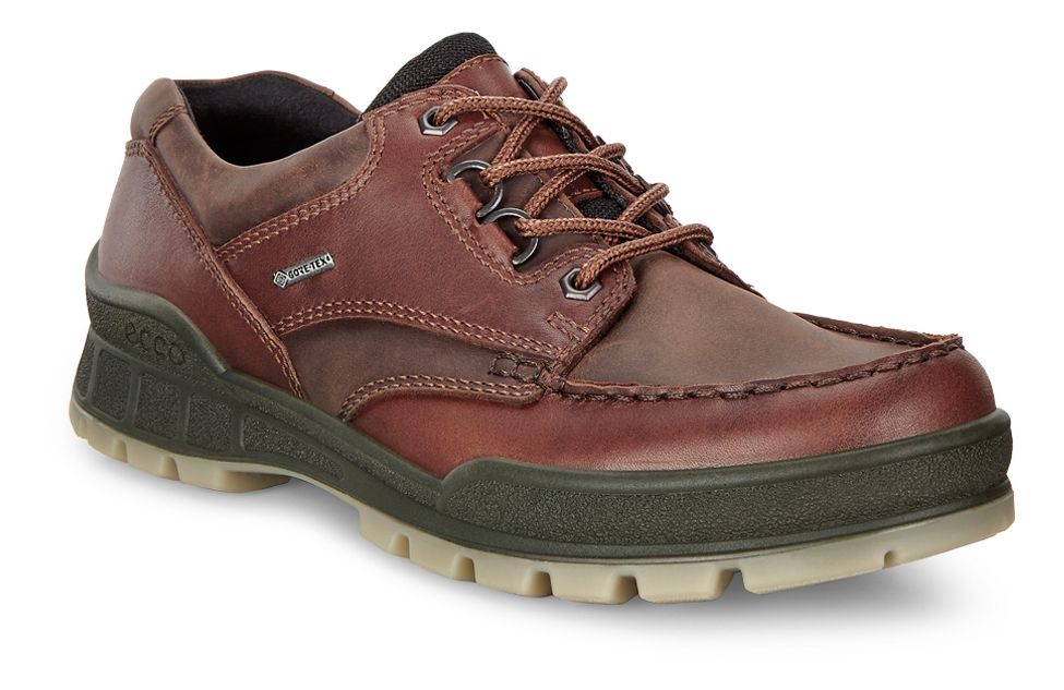 Image of Ecco Track 25 Gore-Tex Low