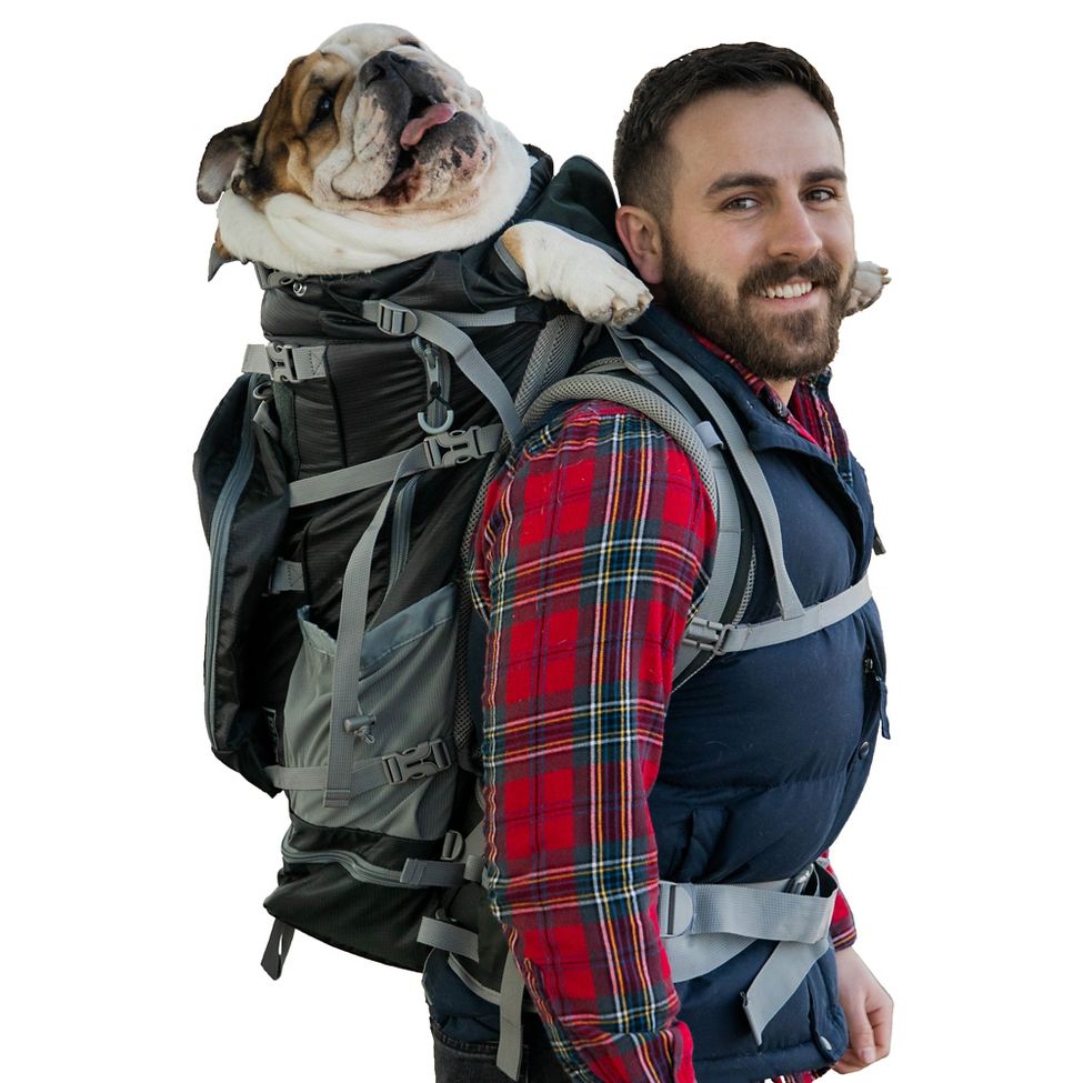 Image of K9 Sport Sack Rover 2 Backpack Dog Carrier
