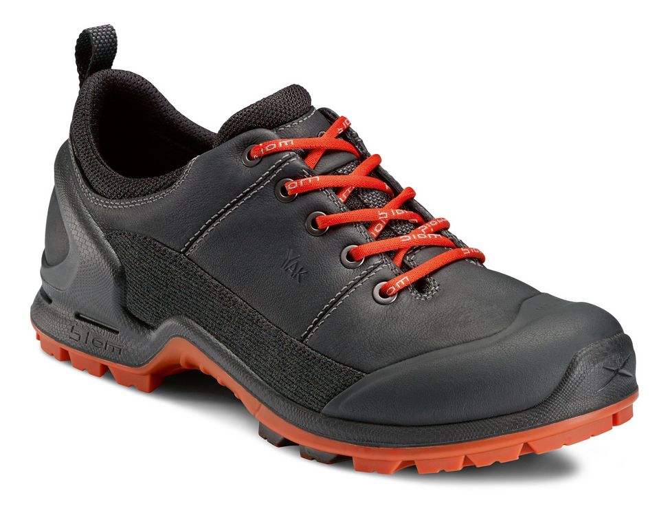 ecco performance shoes