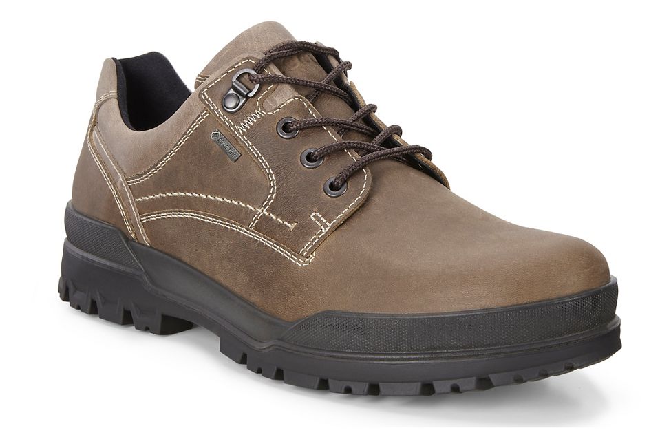 ecco men's track 6 gtx plain toe shoe