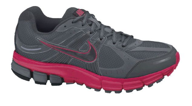 nike pegasus 27 gtx